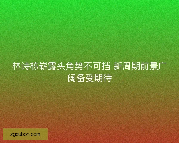 林诗栋崭露头角势不可挡 新周期前景广阔备受期待