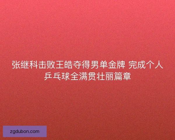张继科击败王皓夺得男单金牌 完成个人乒乓球全满贯壮丽篇章